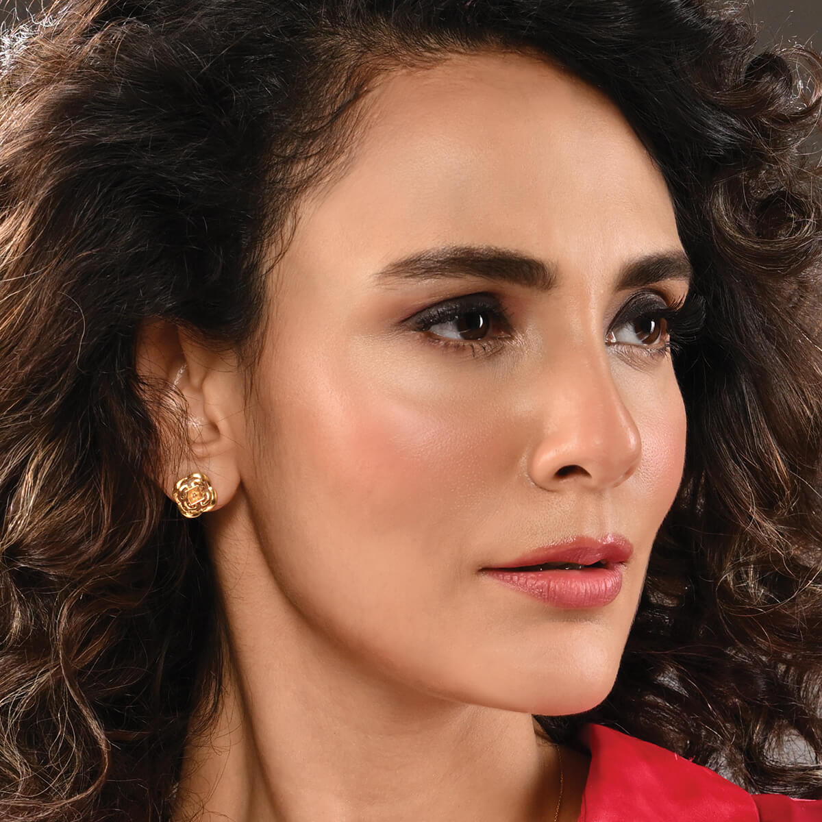 Ear-Tops / Earrings banner